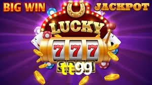 Premium Interface tt99